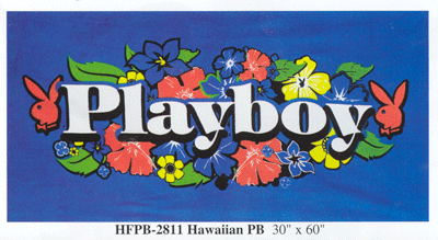 Hawaiian
                Towel